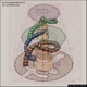 Silanus-Nuraghe complesso Orolio: rilievo assonometrico del sistema scale Silanus-Nuraghe complesso Orolio: rilievo assonometrico del sistema scale