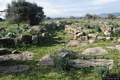 Silanus-Tomba di giganti di Santa Sarbana II: resti della tomba Silanus-Tomba di giganti di Santa Sarbana II: resti della tomba
