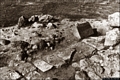 Silanus-Tomba di giganti di Sa Mura Ruja chiamata anche di Pedra Longa: i resti della tomba Silanus-Tomba di giganti di Sa Mura Ruja chiamata anche di Pedra Longa: i resti della tomba