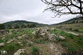 Silanus-Tomba di giganti di Pedras Doladas I: resti del vano funerario Silanus-Tomba di giganti di Pedras Doladas I: resti del vano funerario