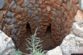 Tertenia-Resti del nuraghe Longu Tertenia-Resti del nuraghe Longu