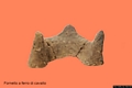 Teti-Villaggio nuragico S’Urbale: un fornello fittile a ferro di cavallo conservato nel Museo Archeologico Comprensoriale Teti-Villaggio nuragico S’Urbale: un fornello fittile a ferro di cavallo conservato nel Museo Archeologico Comprensoriale