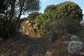 Albagiara-resti del nuraghe complesso di San Lussorio Martire Albagiara-resti del nuraghe complesso di San Lussorio Martire