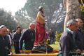 Arzachena: chiesa campestre di Santu lucca di l&rsquo;Agliuledda: processione