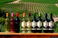 Arzachena-I vini dell&rsquo;azienda vitivinicola Capichera