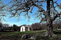 Escolca-Santuario della Vergine delle Grazie nel parco che la circonda