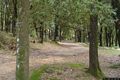 Lanusei: veduta del Bosco di Selene