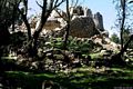 Lanusei-resti del nuraghe complesso Gennacili