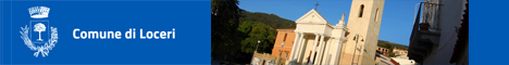 Visita del sito istituzionale del comune