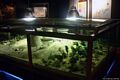 Lunamatrona-Museo Naturalistico del Territorio