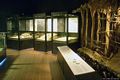 Lunamatrona-Museo Naturalistico del Territorio