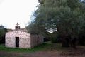 Luogosanto: chiesa campestre di Santu Petru in Catrea ossia di San Pietro in cattedra