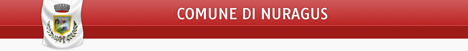 Visita del sito istituzionale del Comune