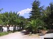 Orosei-Santuario di Nostra Signora del Rimedio: giardino con le <em>Cumbessias</em>