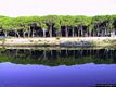Orosei: la fitta vegetazione lungo lo stagno