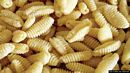 Piatti della sagra della Pasta Fresca: gnocchetti