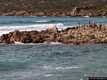 Aglientu-rena Majore: la spiaggia di rena Majori