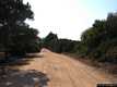 Aglientu-Monte Russu: la strada attraversa la pineta di Chischinaggju-Tavunatu