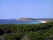 Aglientu-Monte Russu: veduta del promontorio di Monte Russu dalla pineta