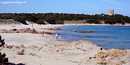 Aglientu: vignola Mare: la spiaggia di la Turra
