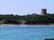 Aglientu-Torrevignola: la pineta e la Torre di Vignola chiamata anche la Turra