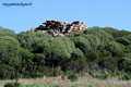 Aglientu-Stazzo Finucchjaglia: il nuraghe Finucchjaglia