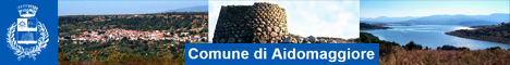 Visita del sito istituzionale del comune