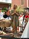 Aidomaggiore-La festa di Sant’Isidoro patrono degli agricoltori