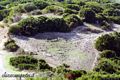 Albagiara: i pochi ruderi della chiesa bizantina di San Lussorio Martire