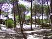 Il lungomare da Alghero fino a Fertilia: il pineta Maria Pia