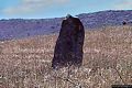 Tortol&igrave;-Arbatax: uno dei menhir del Monte Terli