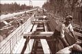 Arborea-La bonifica della piana di Terralba