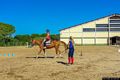 Arborea-Ala Birdi-Horse Country: campo di pratica del maneggio all’aperto