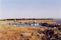 Arborea-Veduta parziale del canale di sbocco a mare dello stagno di S’Ena Arrubia con barche dei pescatori