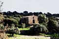 Ardauli-Veduta della chiesa campestre di Sant’Antonio Abate
