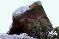 Arzachena-Monti Incappucciatu o roccia del fungo Arzachena-Monti Incappucciatu o roccia del fungo