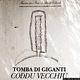 Arzachena-tomba di giganti di Coddu Vecchiu: lungo la strada verso la tomba