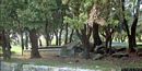 Arzana: il parco Comunale di Arzana