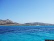 Porto Torres: l’isola Asinara: nel mare dell’isola Asinara
