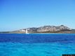 Porto Torres: l’isola Asinara: nel mare dell’isola Asinara