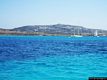Porto Torres: l’isola Asinara: nel mare dell’isola Asinara