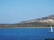 Porto Torres: l’isola Asinara: nel mare dell’isola Asinara