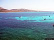 Porto Torres: l’isola Asinara: nel mare dell’isola Asinara