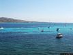 Porto Torres: l’isola Asinara: nel mare dell’isola Asinara