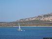 Porto Torres: l’isola Asinara: nel mare dell’isola Asinara Porto Torres: l’isola Asinara: nel mare dell’isola Asinara
