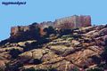 Porto Torres: visita dell’isola dell’Asinara-resti del Castello dei Doria Porto Torres: visita dell’isola dell’Asinara-resti del Castello dei Doria