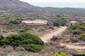 Porto Torres: l’Asinara: l’Osservatorio Faunistico di Tumbarino
