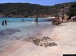 Porto Torres: l’isola Asinara: la spiaggia di Cala Sabina