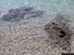 Porto Torres: l’isola Asinara-Limpido mare di Cala Sabina