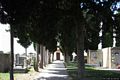 Assolo-Cimitero Comunale: interno